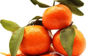 沙糖桔的营养价值 沙糖桔的介绍
