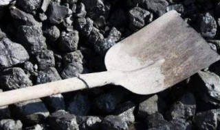 煤炭资源主要集中在哪个省市 煤炭资源所在城市