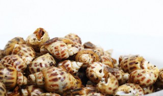 油螺的营养价值 油螺的营养价值介绍