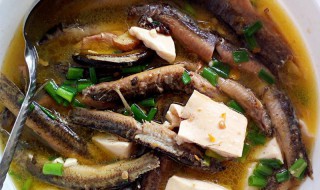 泥鳅炖黑豆功效与作用及食用方法 泥鳅炖黑豆有什么功效与作用及食用方法