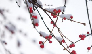 第一场雪来的说说 第一场雪到来的说说