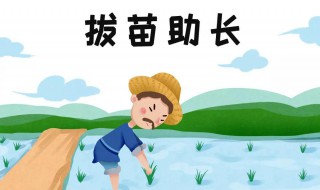 拔苗助长拔的意思（拔苗助长中的拔的意思是什么）