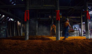 酒糟的功效与作用 黑糯米酒糟的功效与作用