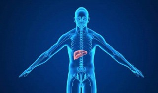 什么是五脏六腑 什么是五脏六腑及在什么位置