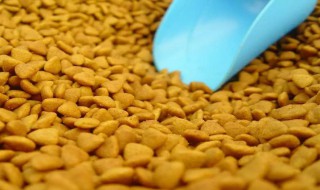 狗粮制作方法（简单便宜狗粮制作方法）