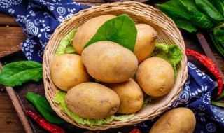 水培土豆盆景的方法 土豆盆栽水培方法