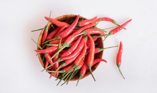 朝天椒的浇水技巧（朝天椒浇水方法）