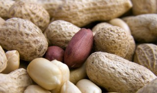 冬季如何做花生壳肥（花生壳适合做什么花的肥料）