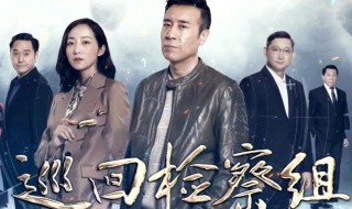 巡回检查组扮演者们 巡回检查组 全部演员表