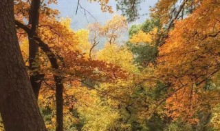 南黄古道几月份最美（南黄古道 最佳时间）