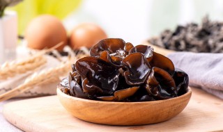 木耳生长在哪里（木耳生长在哪里图片）