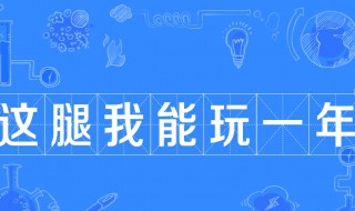 这腿我能玩一年是什么意思 腿玩年是什么意思?这腿够我玩一年是什么梗?