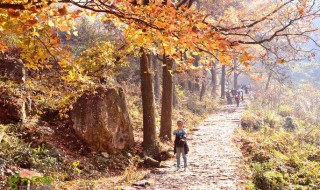 台州黄南古道攻略 台州南黄古道在哪里