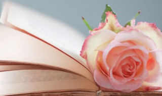 搞笑爱情短信 幽默搞笑求爱短信