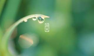 雨水节气吃什么 雨水节气吃什么食物