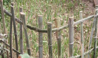 竹篱笆捆扎方法 竹篱笆绑扎方法