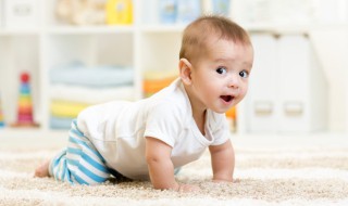 如何为牛宝宝起小名 牛宝宝适合取什么小名