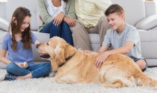 十岁孩子蹬被子怎么解决（十个月宝宝老是蹬被子怎么办）