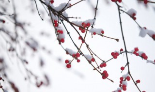 微博文案冬季唯美句子（微博唯美文案长句子）