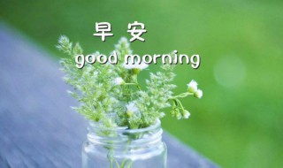 早安语简短一句话 早安语简短一句话带图片