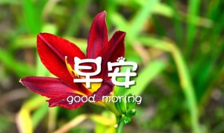 早安语言发朋友圈 早安的话怎么说发朋友圈