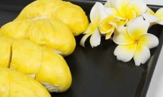 长柄猫山王是什么品种 长柄猫山王的介绍