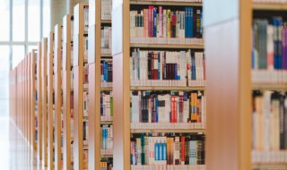 蜀相的解释 蜀相原文内容