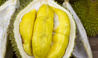 大量榴莲肉储存方法 榴莲吃不完怎么保存