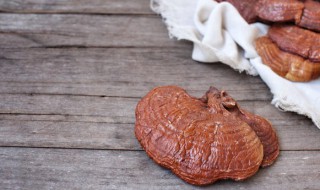 灵芝正确吃法 灵芝正确吃法是什么