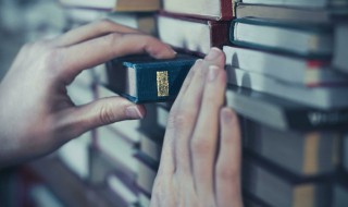 伏案的拼音 伏案的拼音是什么