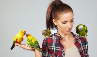 鹊拼音 鹊读音和介绍