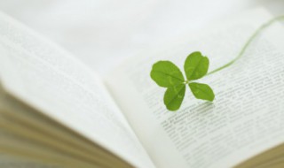 伏的拼音 伏的组词