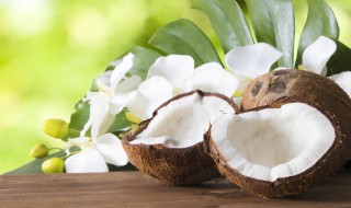 青椰和老椰的区别 青椰和老椰有什么区别