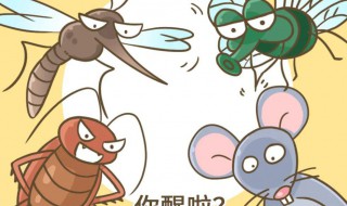 踩死一只蟑螂会生很多蟑螂吗 踩死一只蟑螂会不会生很多蟑螂