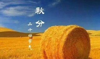 写秋分的古诗 有关秋分的古诗