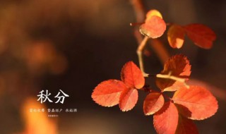 有关秋分的古诗 写秋分的古诗