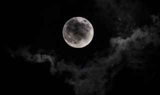 15的月亮16圆什么意思 15的月亮16圆的解释