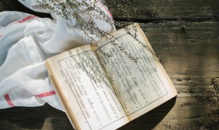 付诸行动是什么意思 付诸行动的解释