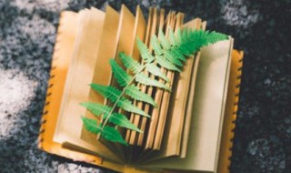 获的拼音 获的组词