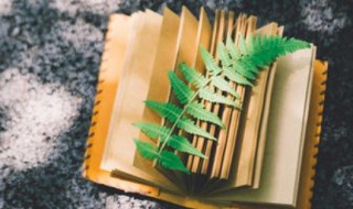 汀的拼音 汀的组词