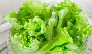 种生菜的方法和步骤 种生菜的方法和步骤的介绍
