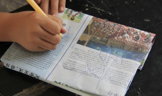 报纸属于什么垃圾 报纸属于哪种垃圾