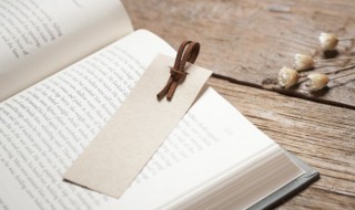 晓的拼音 晓的拼音及组词