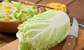 大白菜怎么种植方法 怎么种大白菜