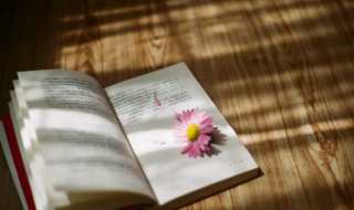 物理量是什么意思 物理量的解释