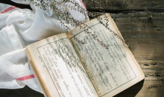 节气冬至是什么意思 冬至是什么意思