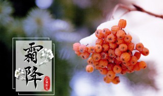关于霜降是什么意思 什么是霜降