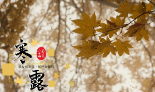 24节气寒露风是什么意思 24节气寒露风的解释