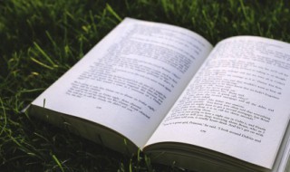 贾的拼音 贾的组词