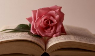 傍字拼音 傍字的组词